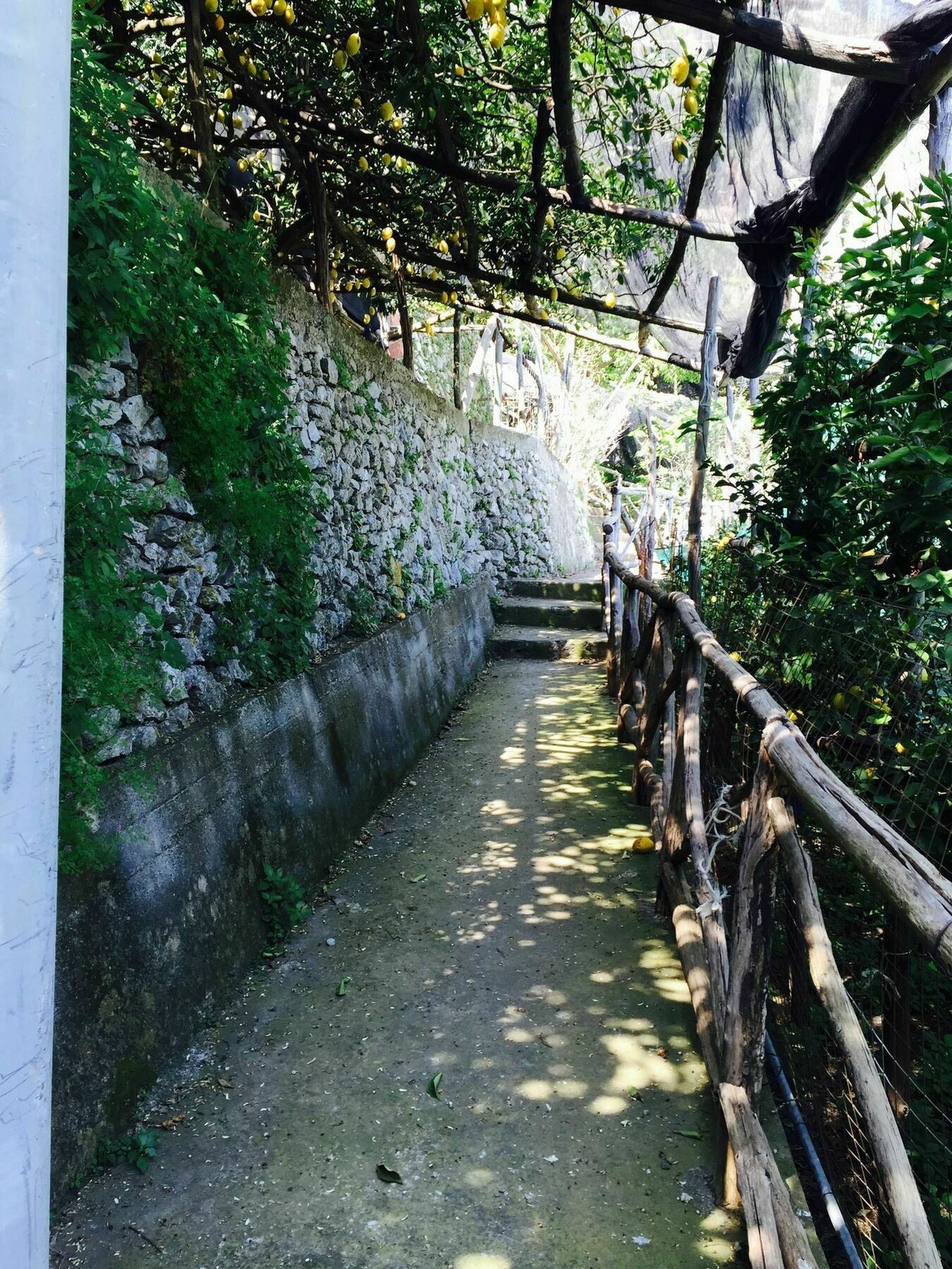 Casa Rossa Apartment Ravello Exterior photo